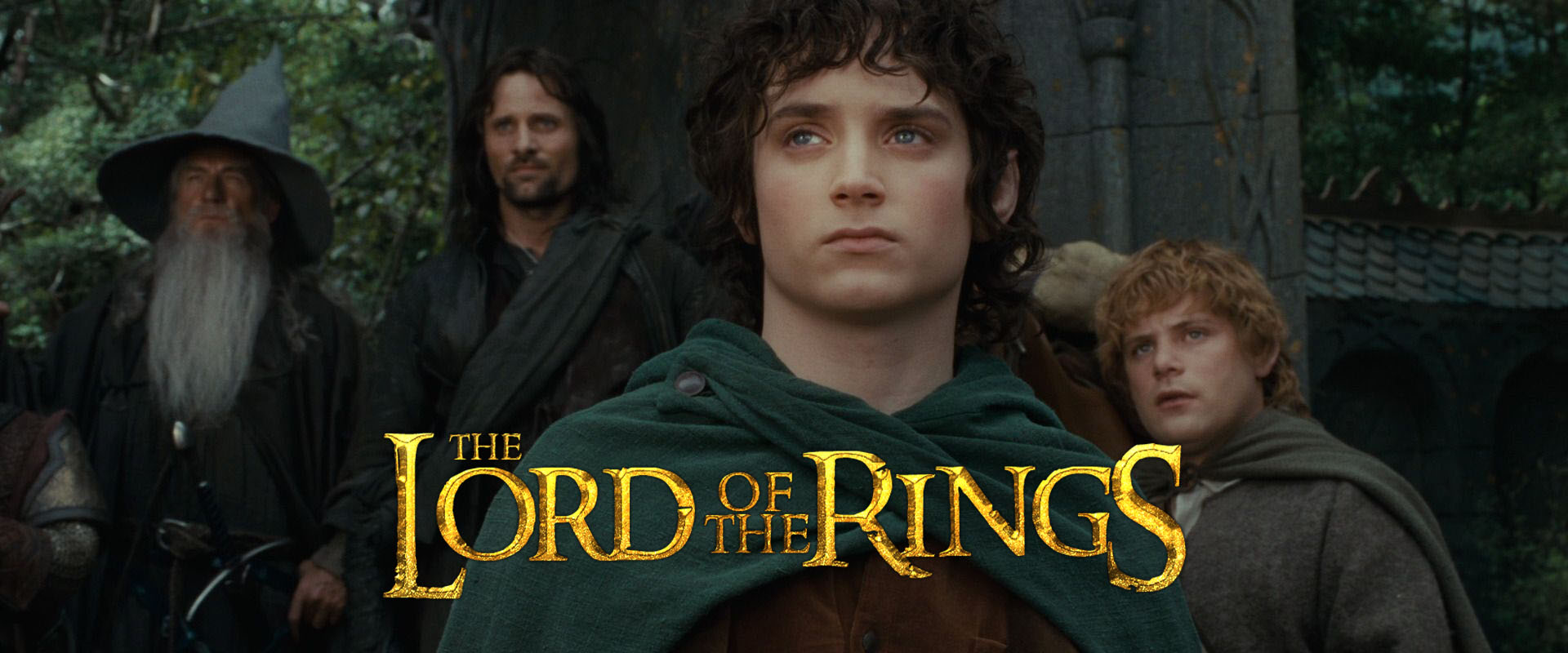 fellowship of the ring banner