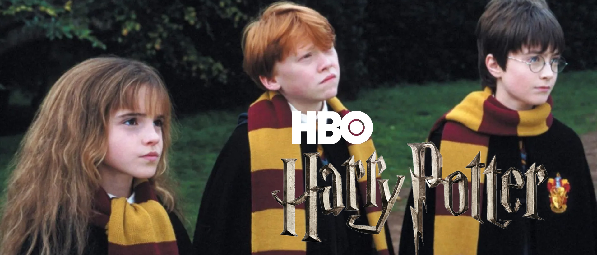 harry potter ron hermione 2000 banner