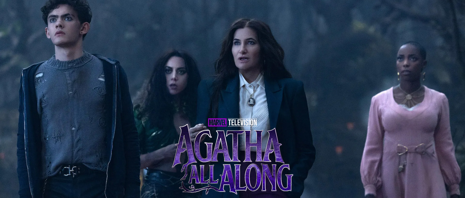 aubrey plaza kathryn hahn agatha all along banner