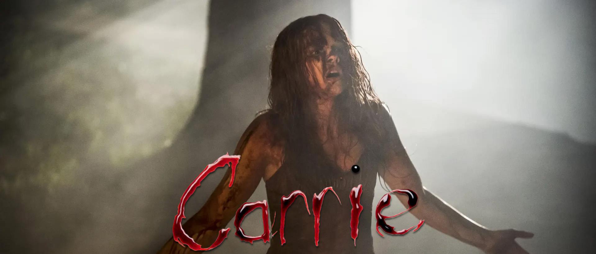 carrie 2013 remake banner