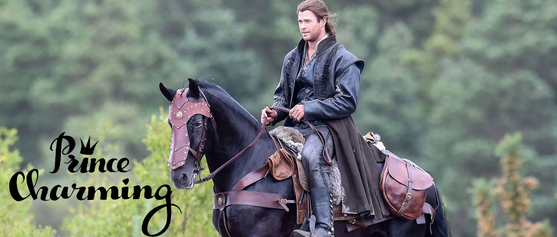 chris hemsworth prince charming disney banner