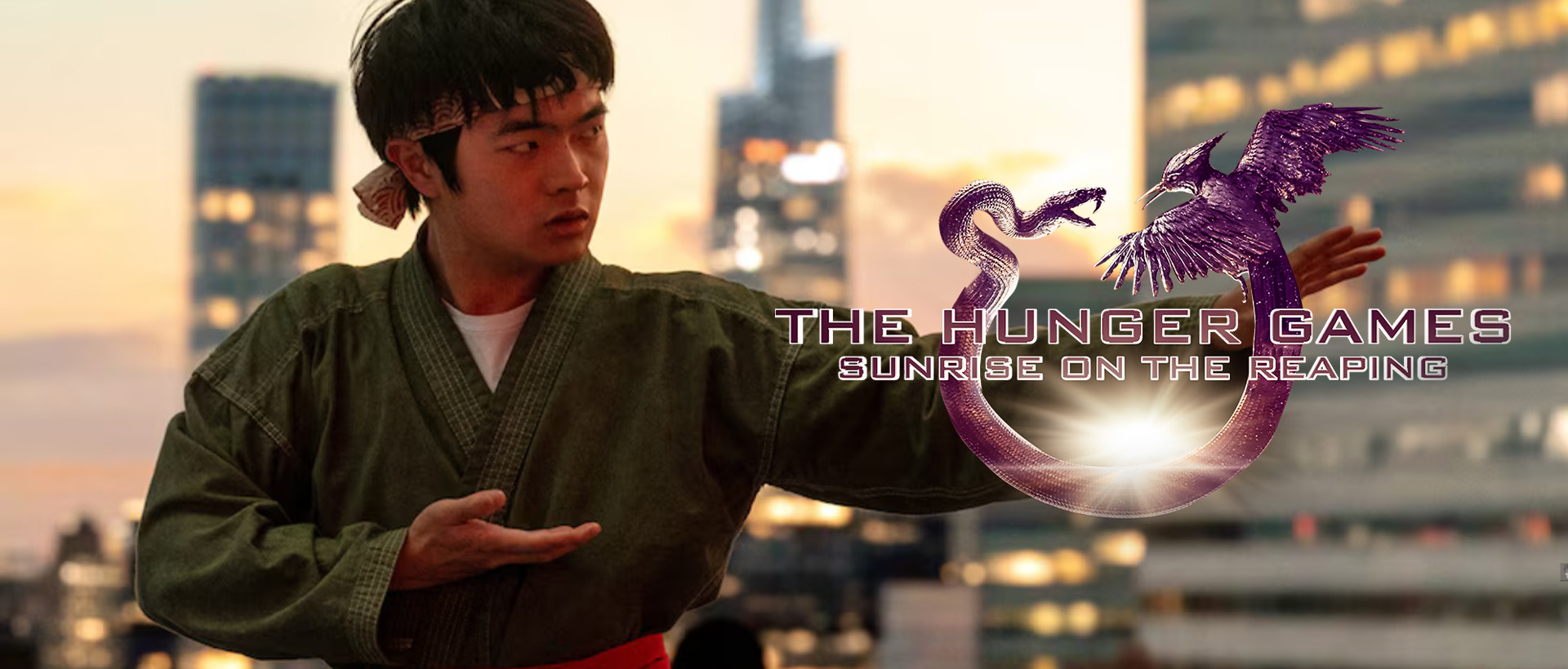 ben wang hunger games sunrise on the reaping banner