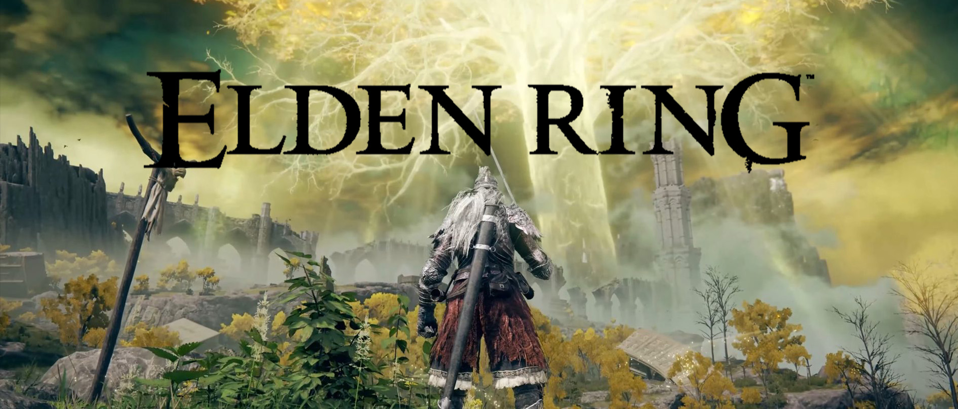 elden ring video game banner