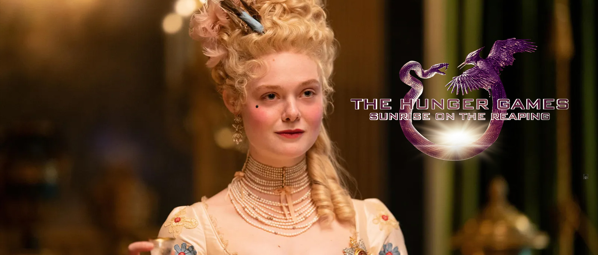 elle fanning effie trinket hunger games banner