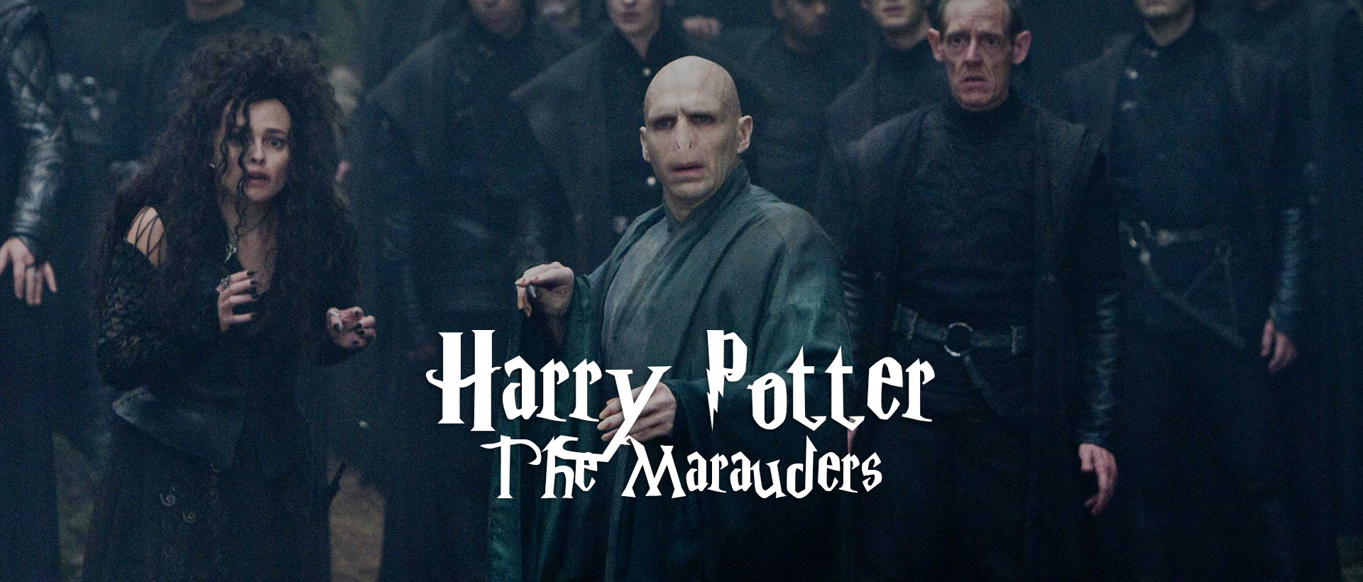 harry potter the marauders voldemort banner